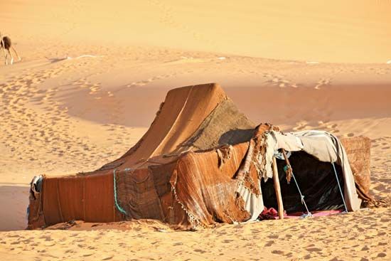 316b137d4fe34df4564af20e453f8a4b tent the descendants